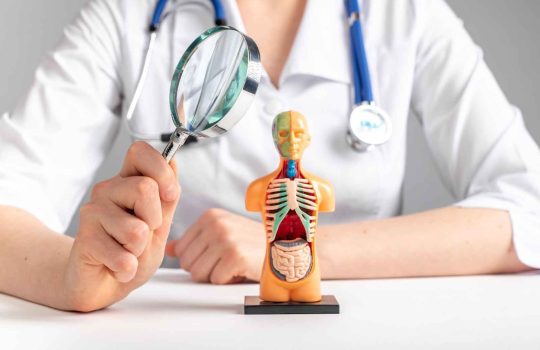 anatomy and surgical education2